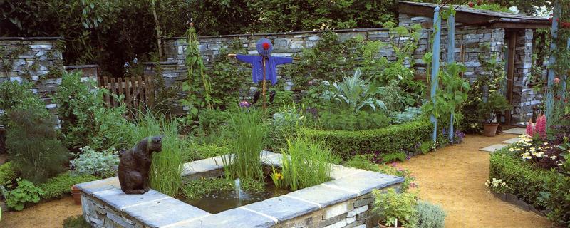 The white cat by the pond and general view of the garden